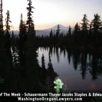 April-1-Photo-of-the-Week-630x473