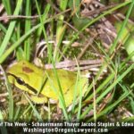 Hiking-WA-Thayer-2-1