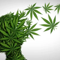 SWE_20-_20Driving_20Under_20the_20Influence_20of_20Marijuana