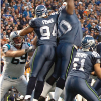 SeaHawks-300x519
