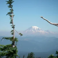 mt